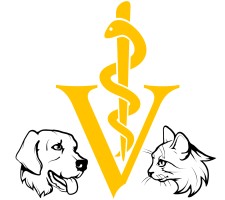 Clinique Vétérinaire de Chailly-en-Bière