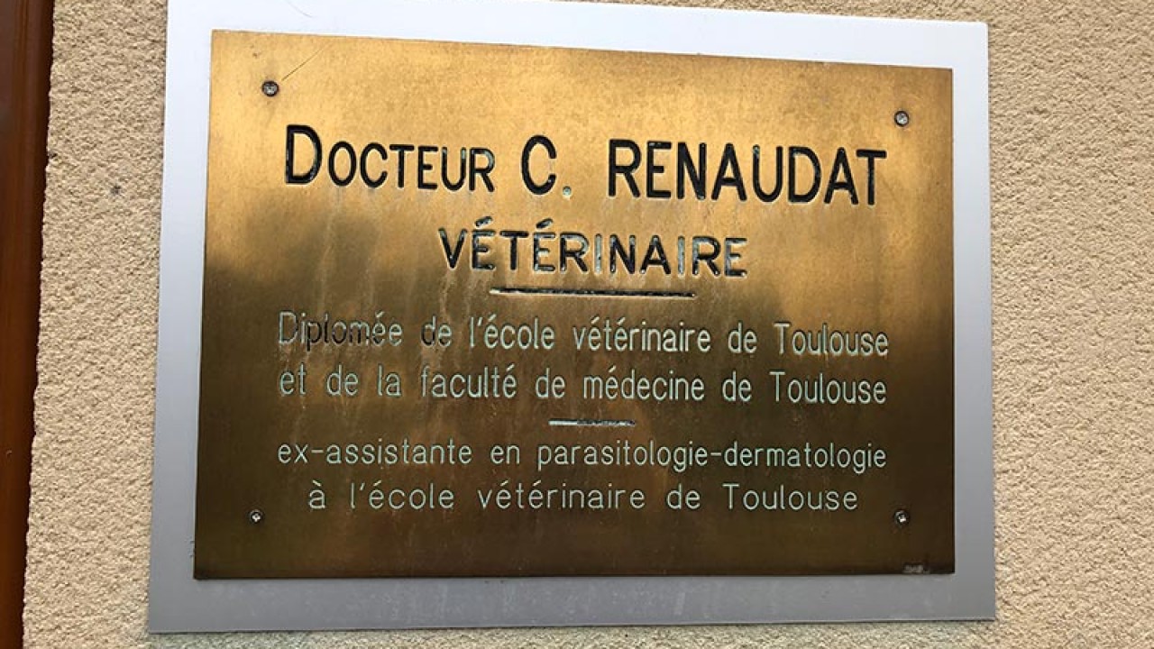 Plaque